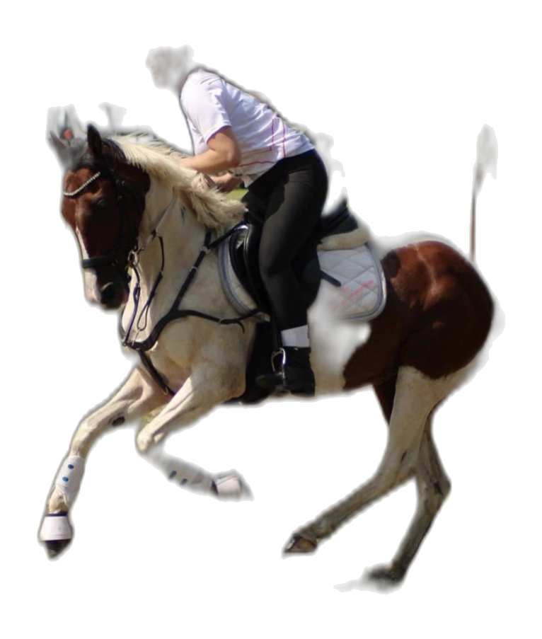 Portrait von Annabell Nußbaum