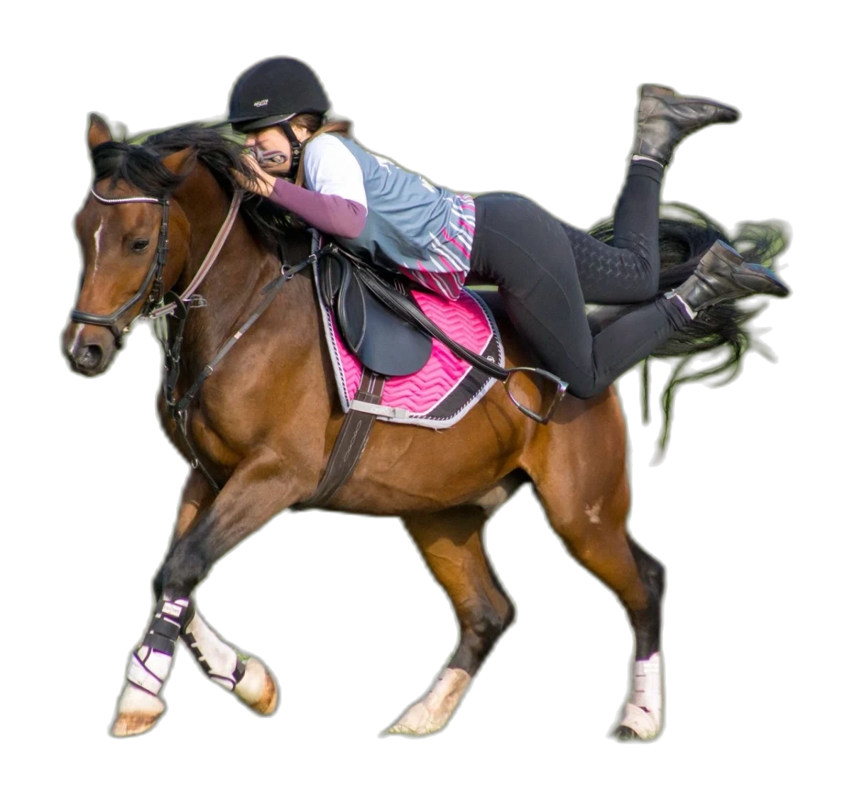 Portrait von Lucy Mercedes Gallus