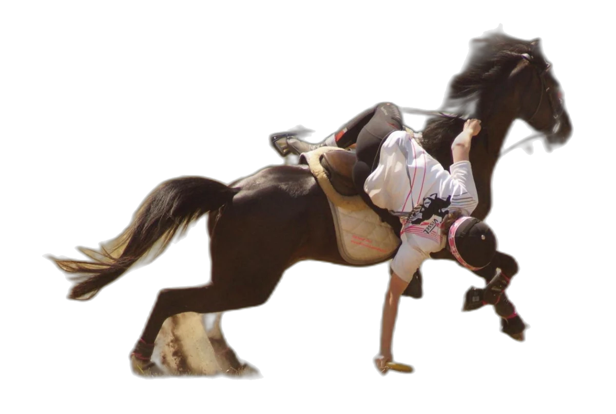 Portrait von Nina Christina Riegler