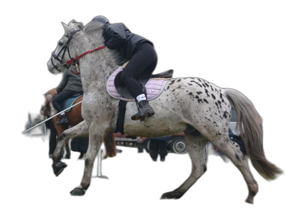 Portrait von Hannah Schröter