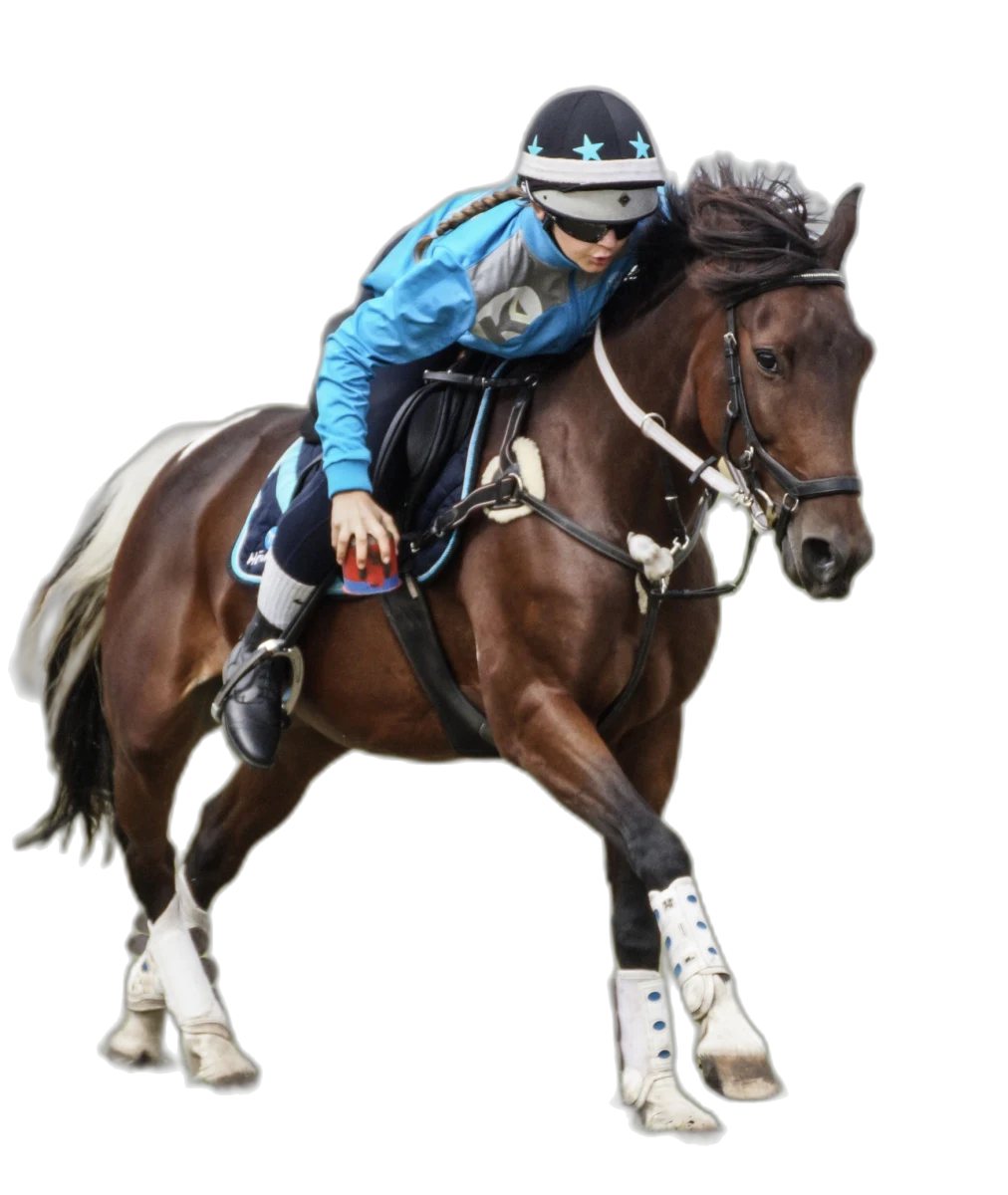 Portrait von Antonia Schütt