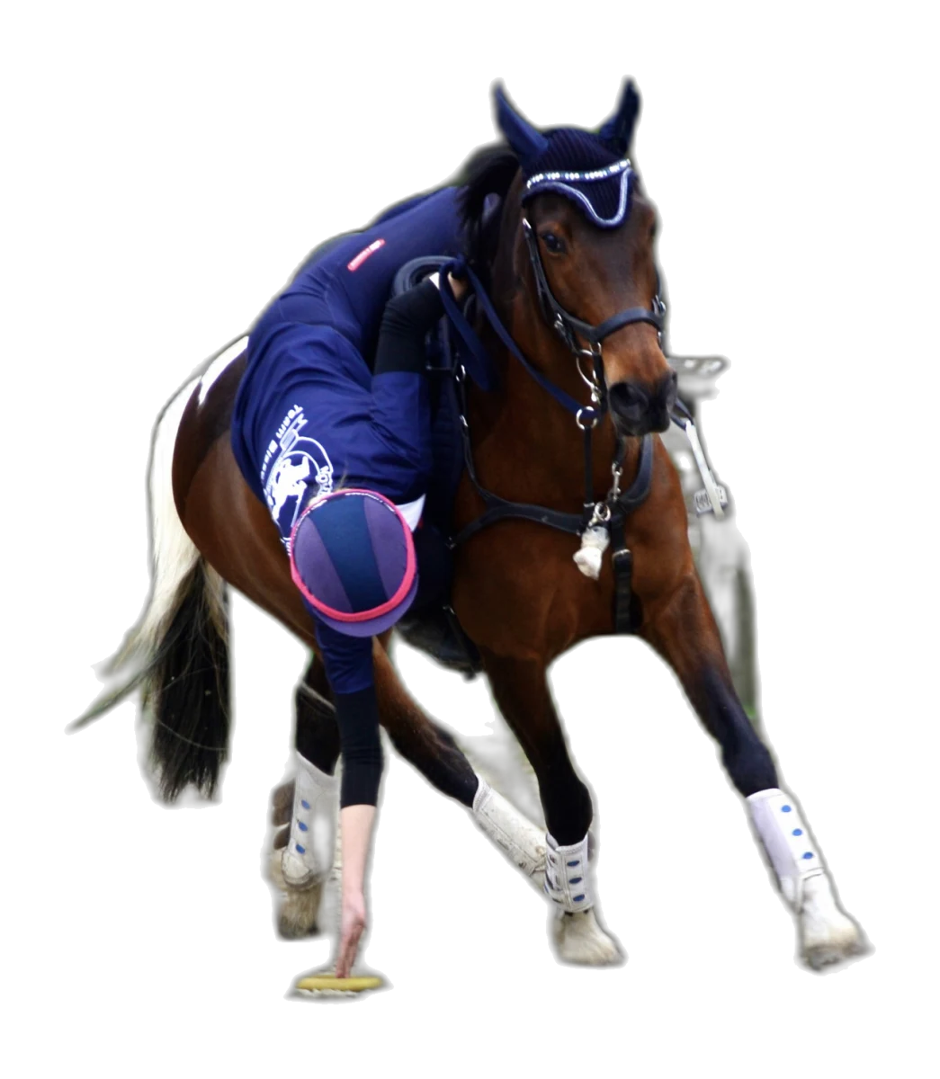 Portrait von Amelie Schütt