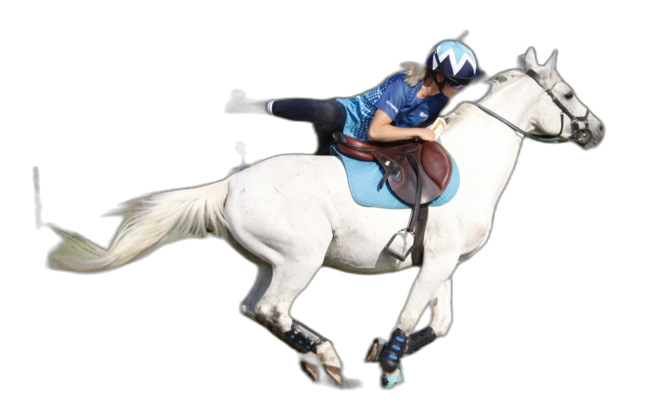 Portrait von Mareile Voß