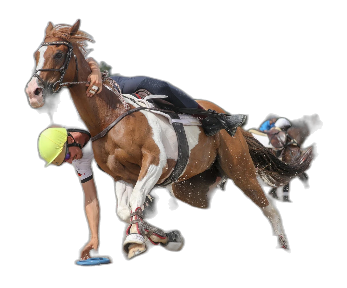 Portrait von Immo Hintelmann