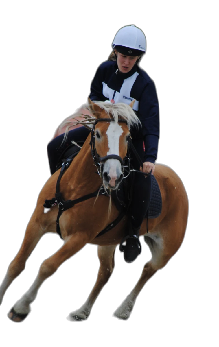 Portrait von Charlotte Weis