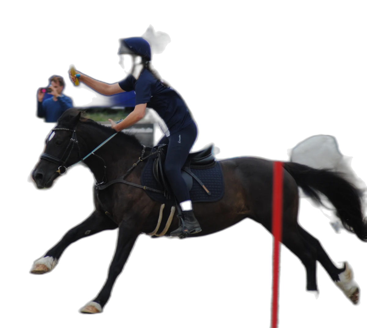 Portrait von Isabelle Herczeg