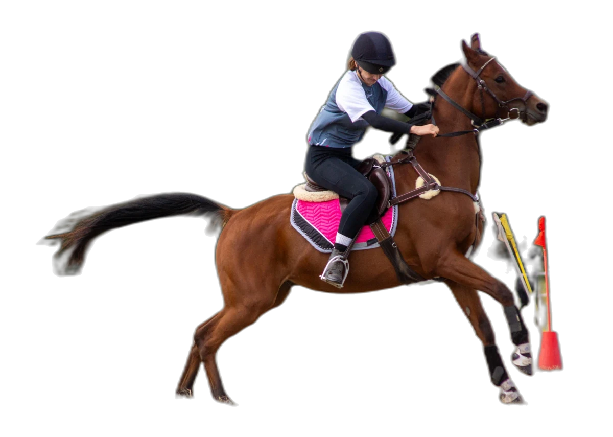 Portrait von Michelle Kranich