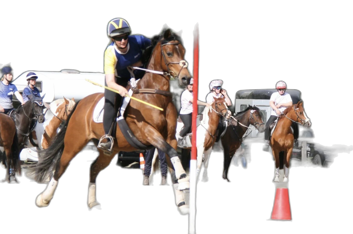 Portrait von Jennifer Melchers